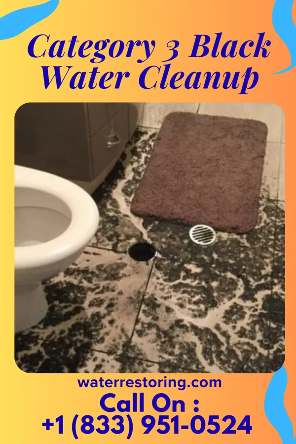 Category 3 Black Water Cleanup in Sims, NC